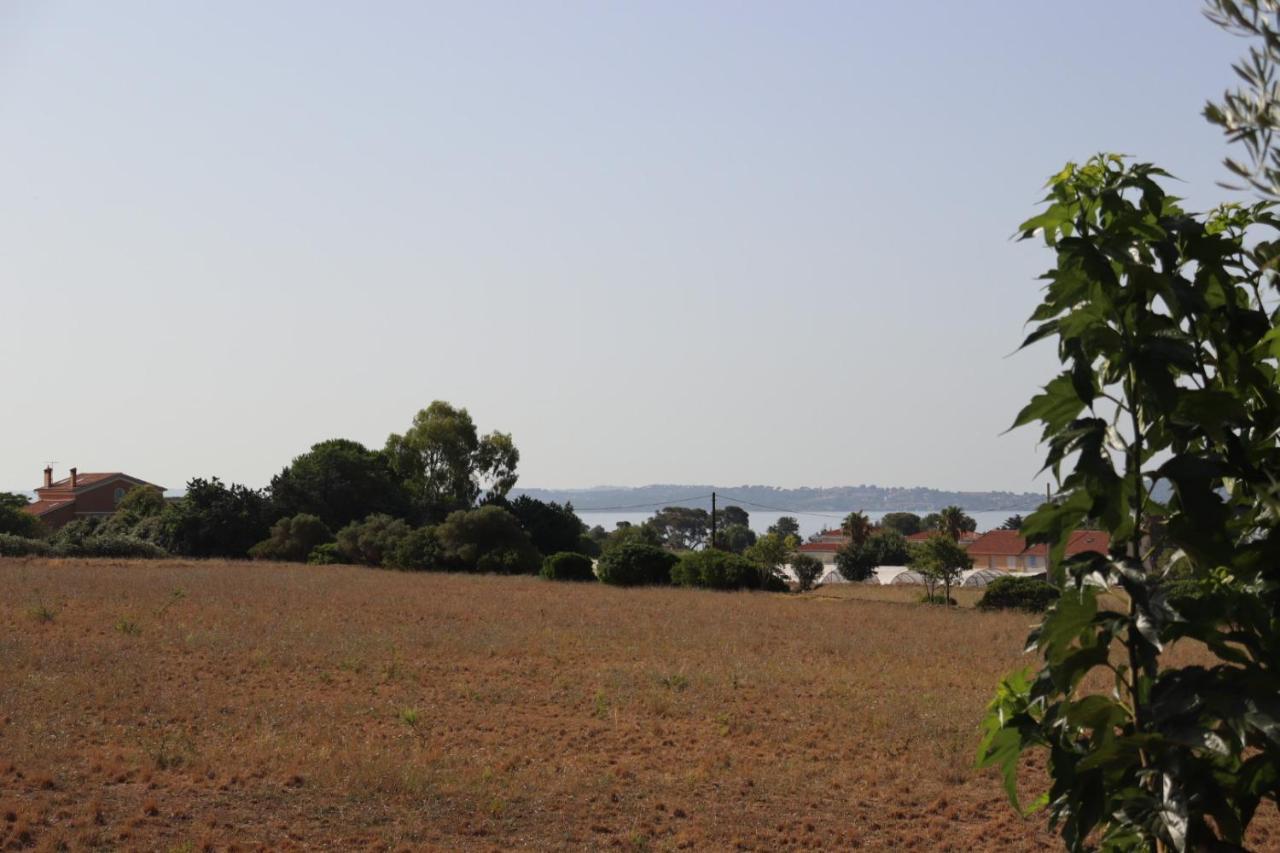 Le Petit Sud Apartment Carqueiranne Bagian luar foto